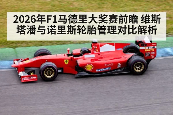 2026年F1马德里大奖赛前瞻 维斯塔潘与诺里斯轮胎管理对比解析